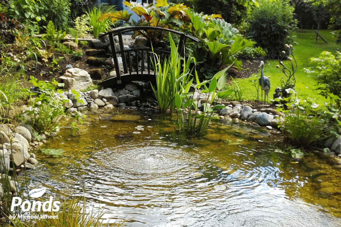 Modern Pond Design