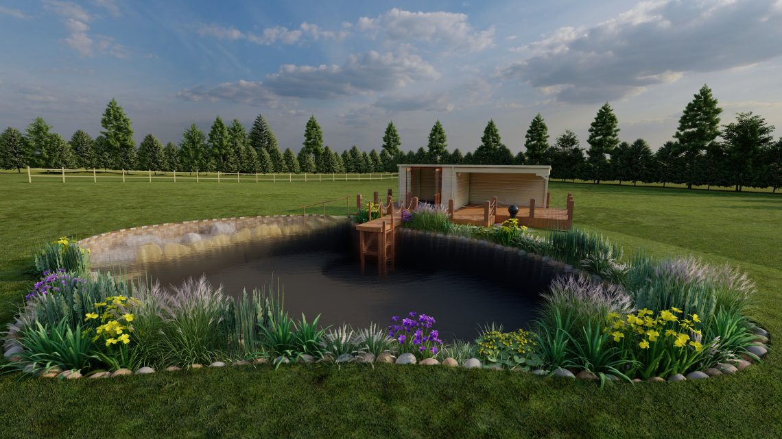 Swimming Pond Cad Design