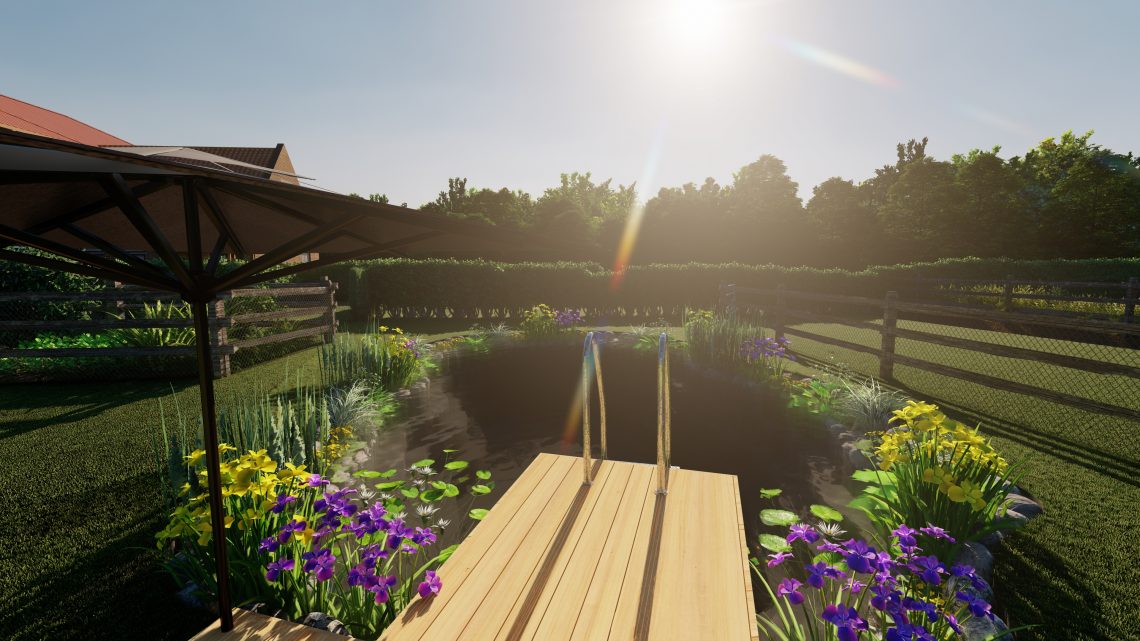 Swimming Pond Cad Design