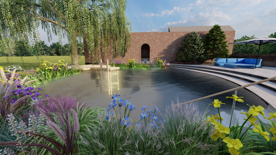 Swimming pond CAD design