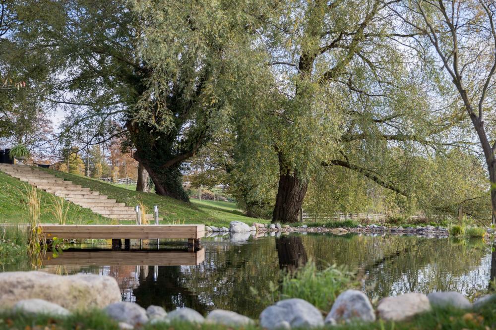 Natural Swimming Pond With A Background Of Steps And Two Large Trees