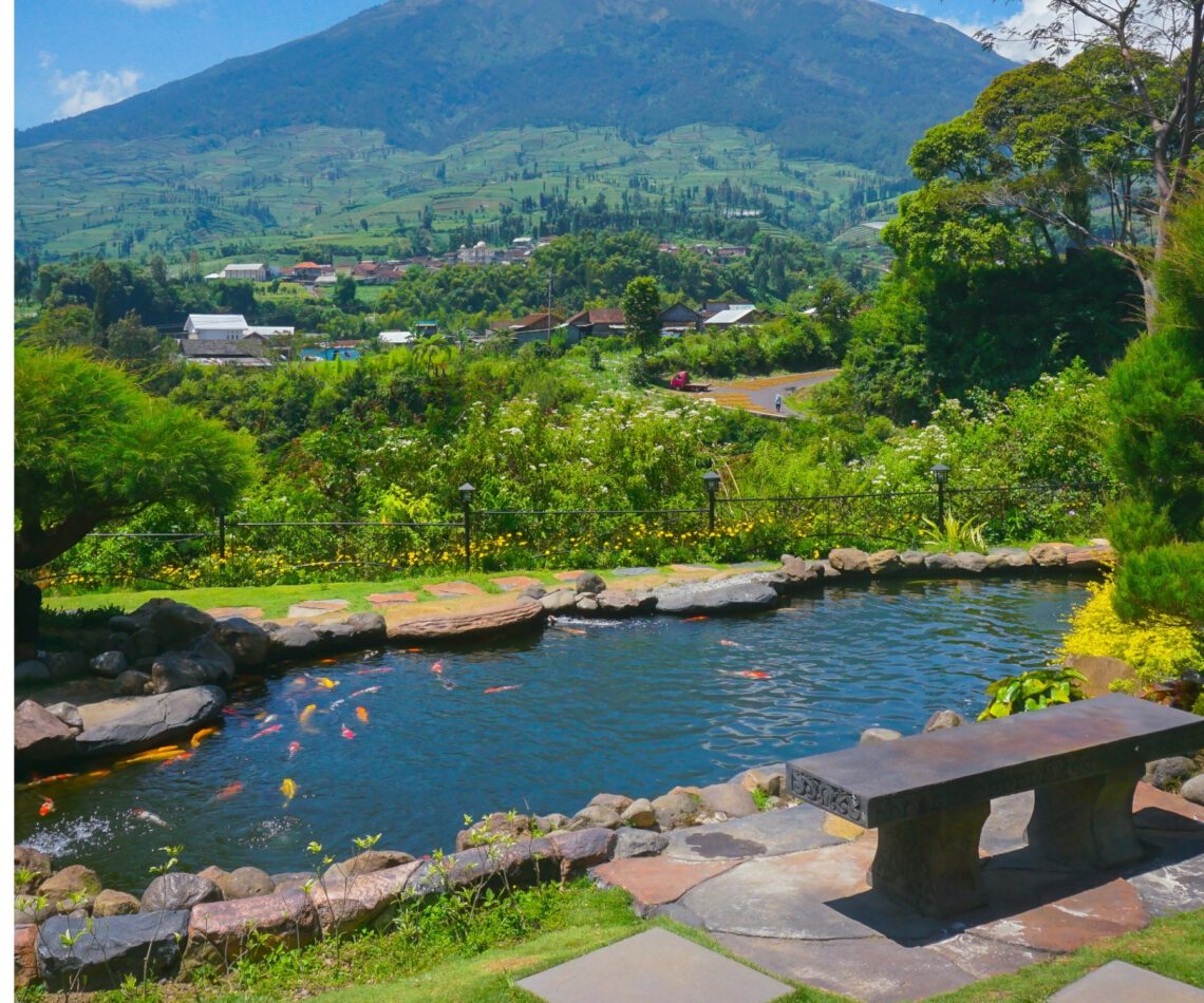 How to Clear Green Pond Water Fast: 7 Effective Solutions for Clarity 1 Why Is My Pond Water Green?