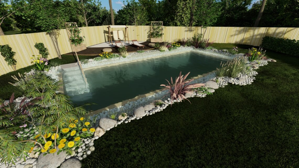 Swimming Pond Cad Design