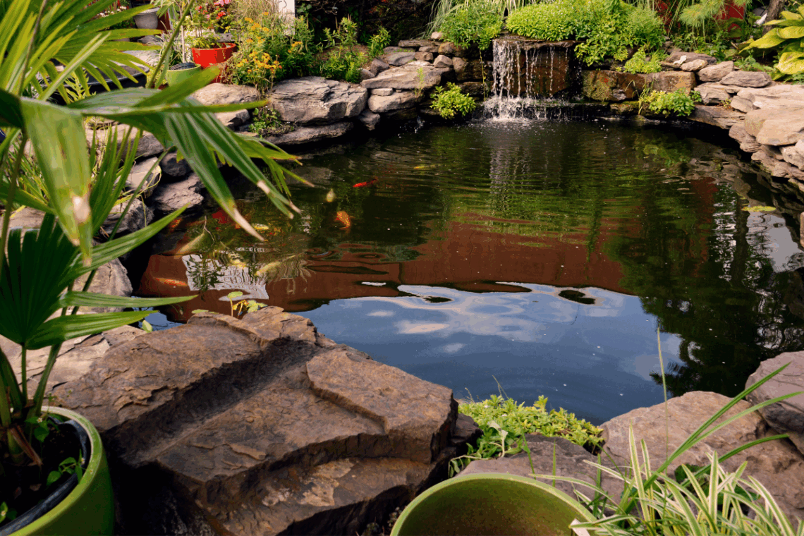 How to Oxygenate a Pond Without a Pump: Can It Really Be Done? 5 Build a balanced ecosystem