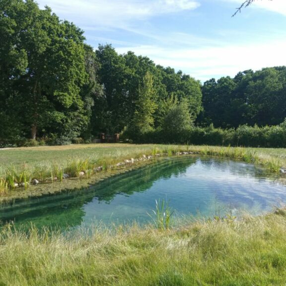 Natural swimming pond