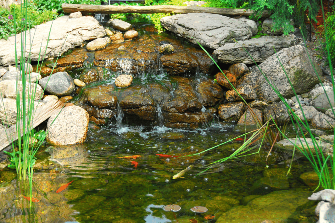Fundamentals of Pond Ecosystems