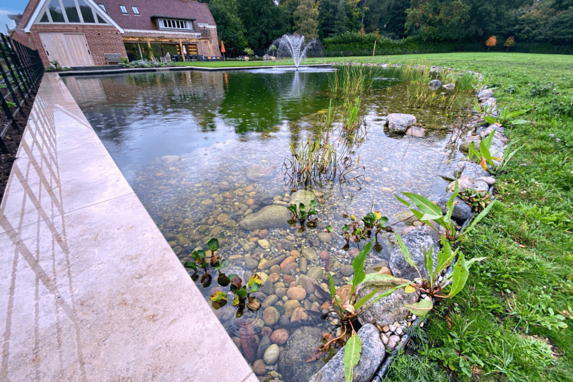 pond fountain