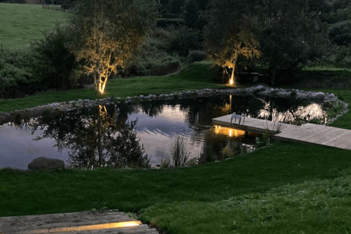 Bringing Your Pond Design Ideas to Life