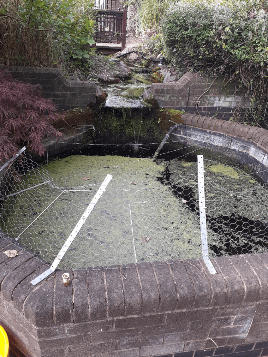 Dirty pond