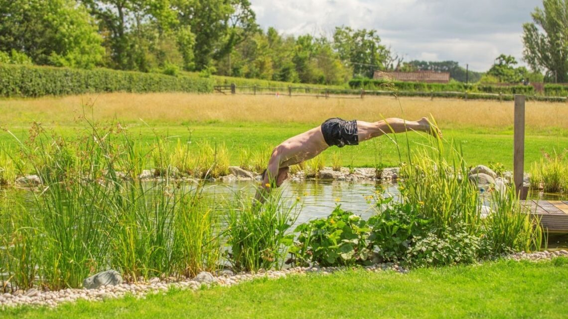 Can You Swim in a Pond? What to Know Before You Take the Plunge 5 diving into a pond