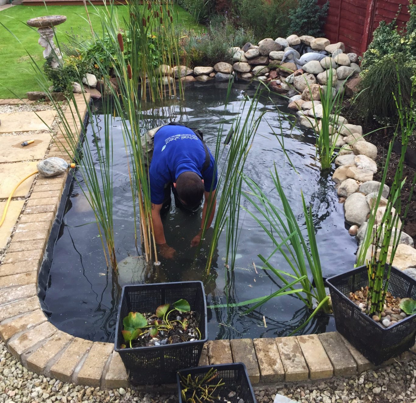 Pond Maintenance HassleFree, Expert Care Packages