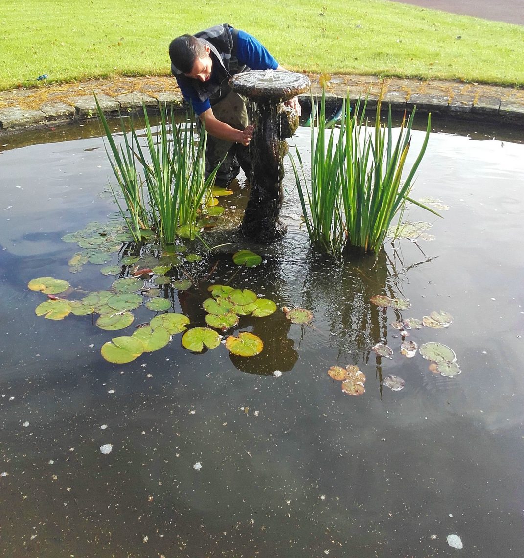 During Pond Maintenance