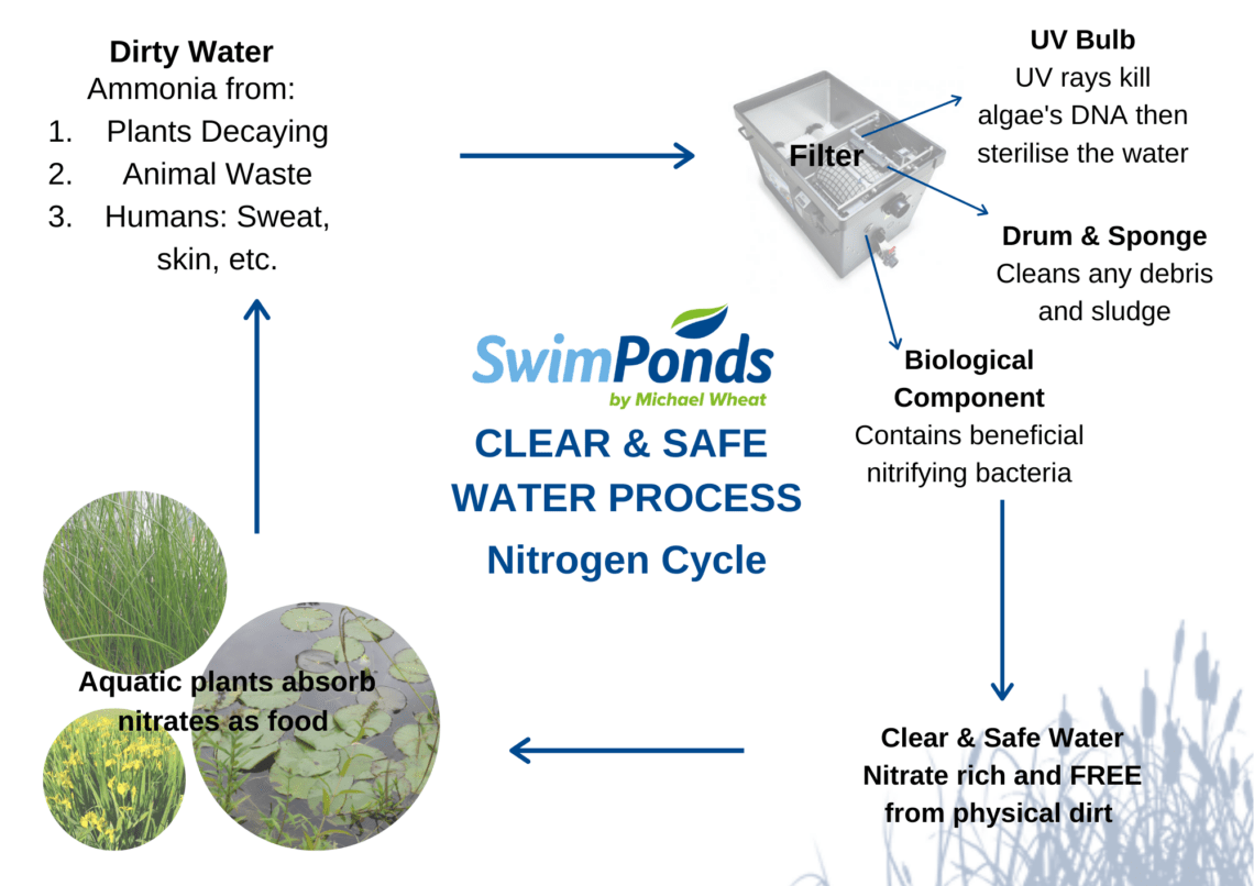 swimpond filtration process