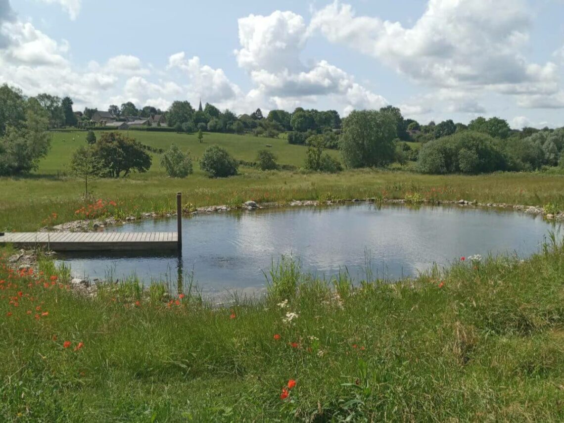 Natural Swimming Pond