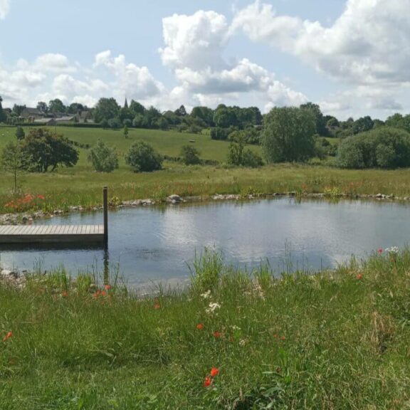 Natural Swimming Pond