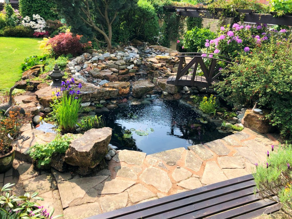 fish pond with a bridge