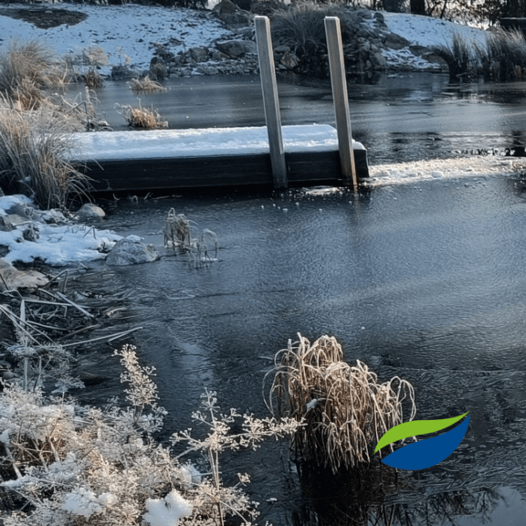 Frozen Swimming Pond