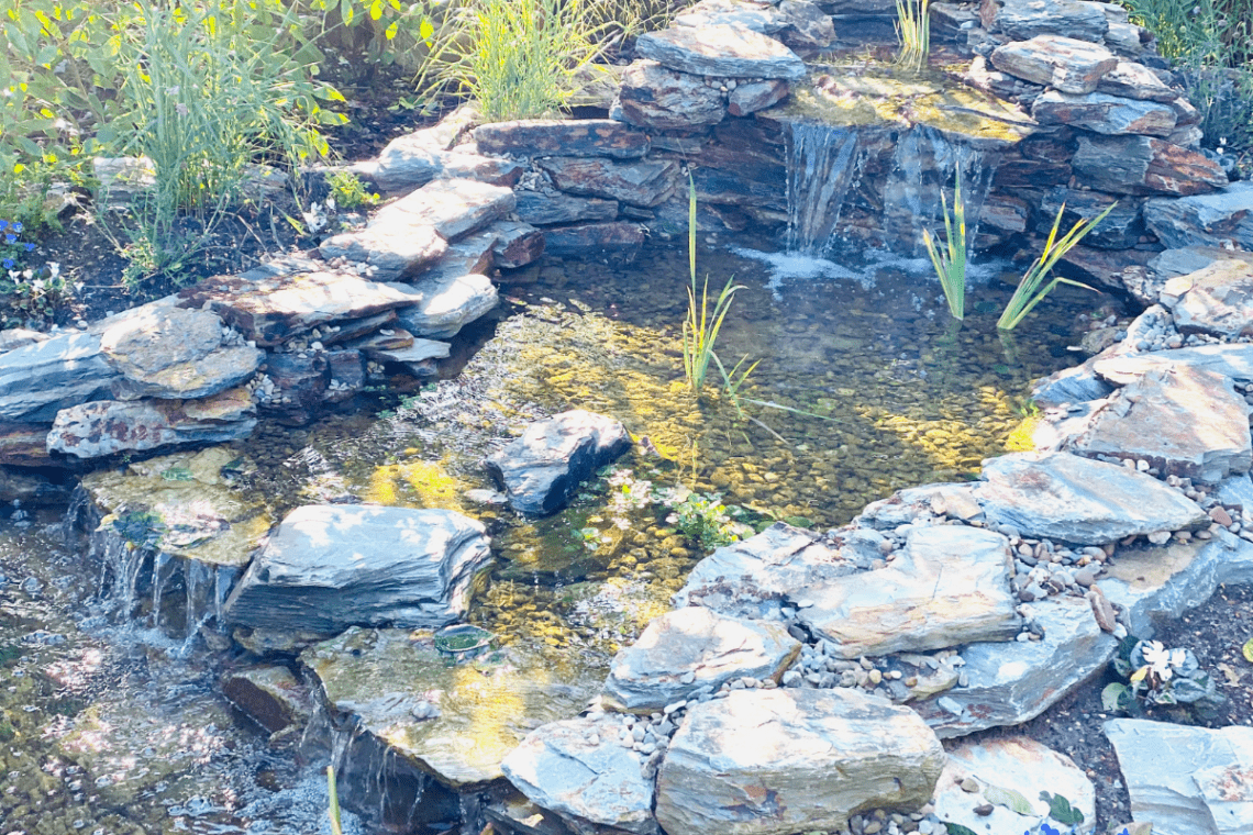 pond waterfall