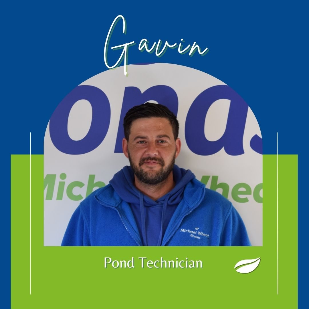 Our Team 13 Gavin 4