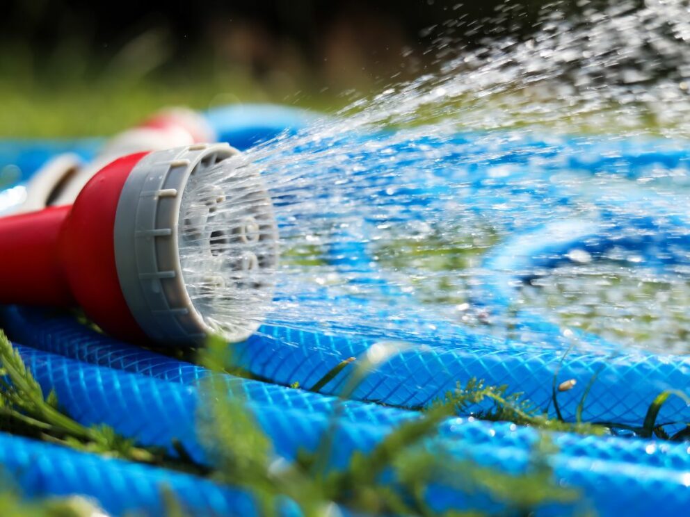 Swim In Style During A Hosepipe Ban Ponds By Michael Wheat