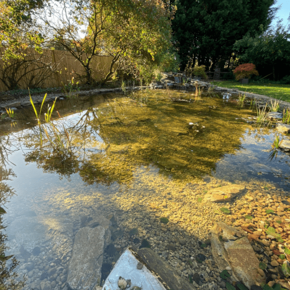 How Deep Should A Wildlife Pond Be