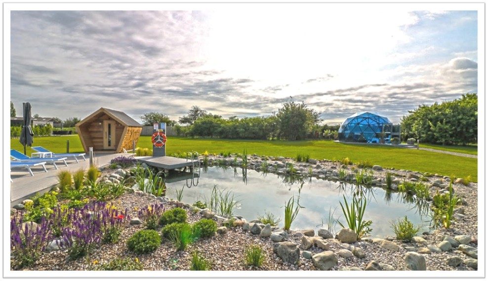 Swimming Pond Costs 2 Hybrid swimpond 10x6 3