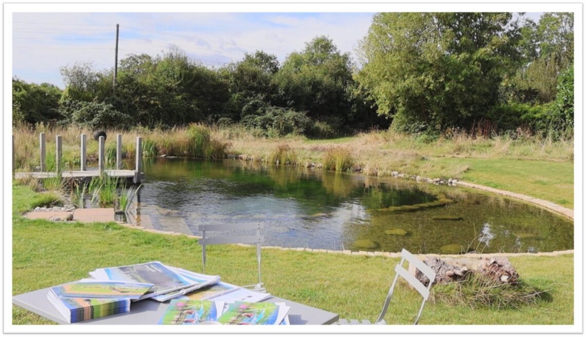 Swimming Pond Costs 4 Hybrid swimpond 18x8 1