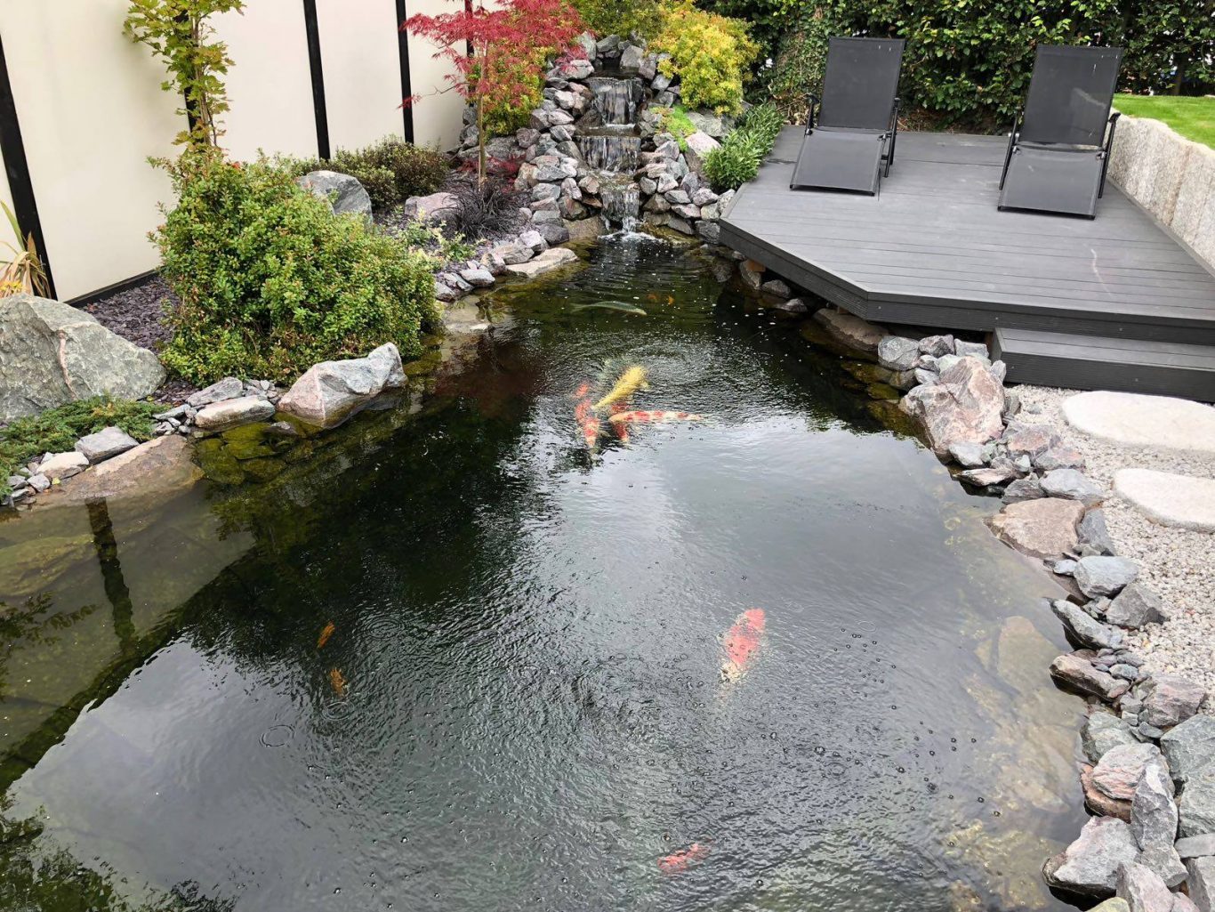 How Can You Protect Your Fish From Predators? Ponds By Michael Wheat