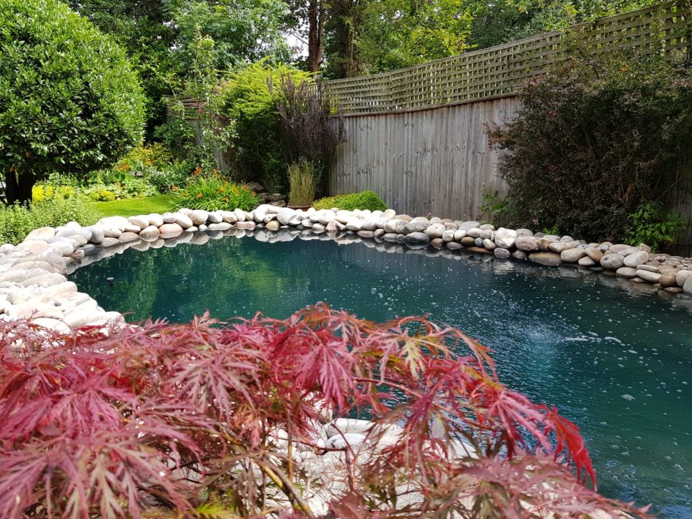 Koi Pond Renovation Ponds By Michael Wheat