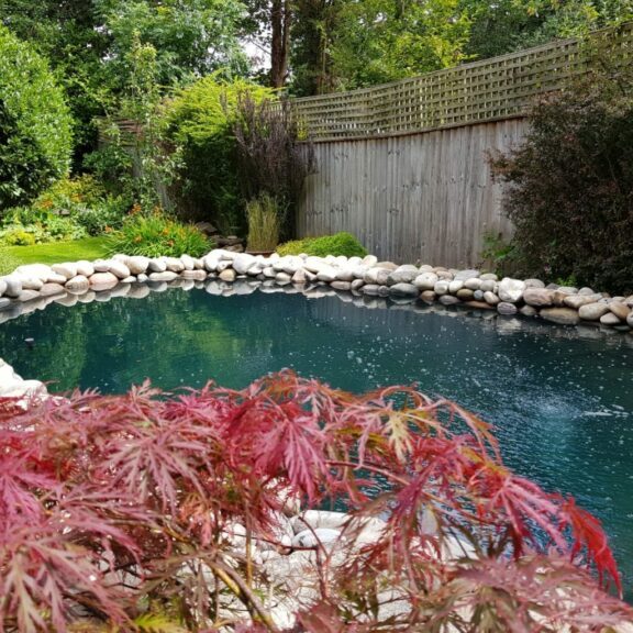 Koi Pond Reno