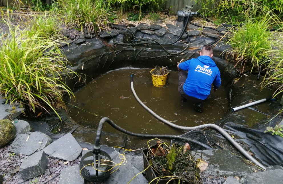 Kyle cleaning a pond
