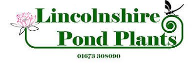 Lincolnshire Pond Plants