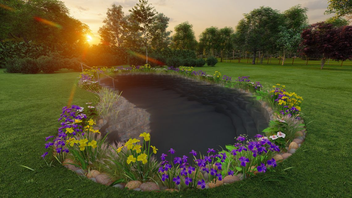 Swimming Pond Cad Design