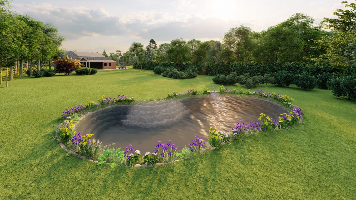 Swimming Pond Cad Design