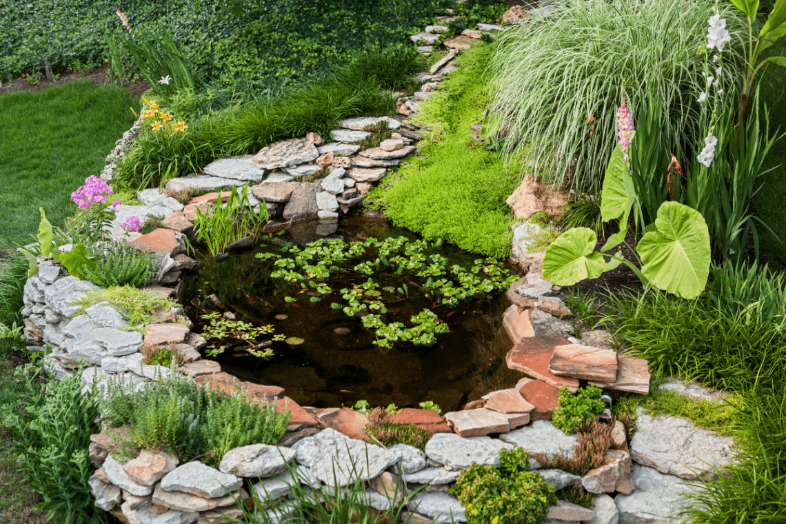 small wildlife pond