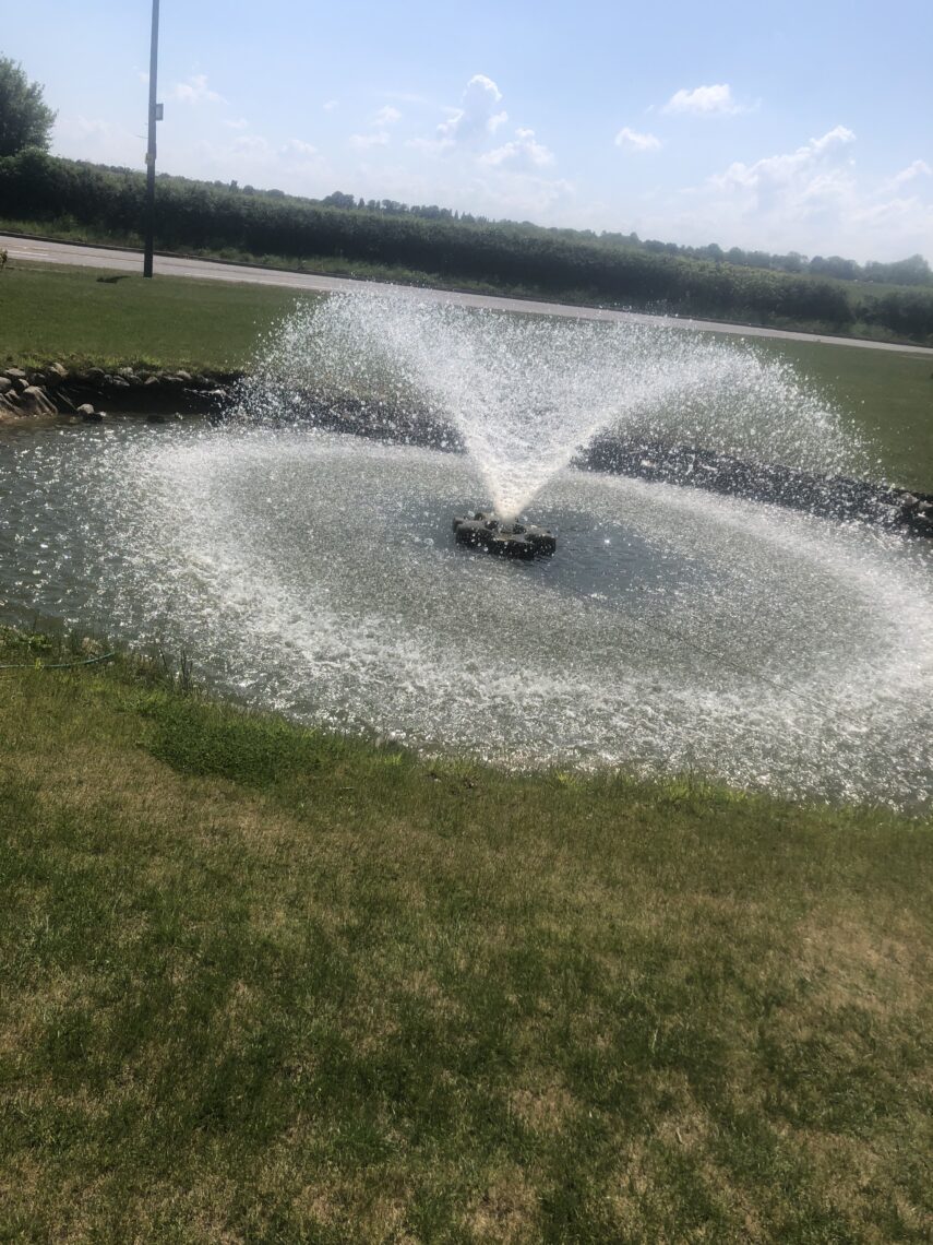 Waterfalls And Aeration In Ponds: Ultimate Guide & Top Tips 3 Media 1 1A6FB621 CF5D 473A 9FB4 62088F48601D