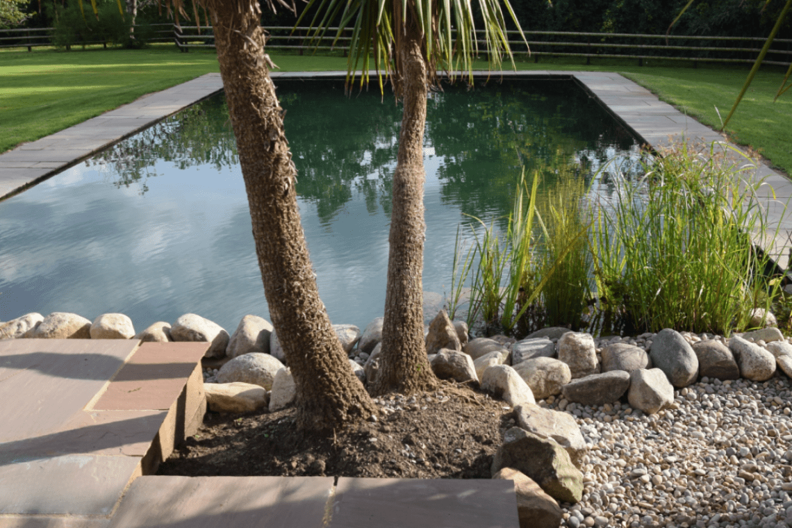 Modern Pond Design