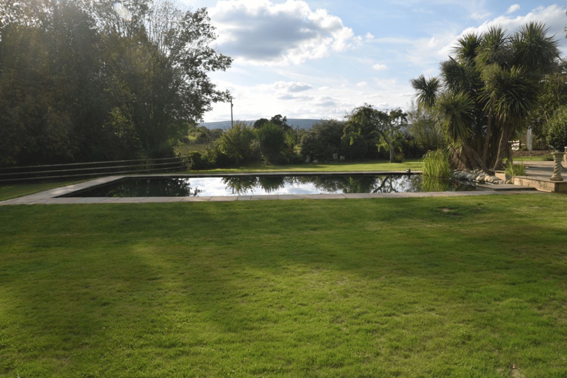 Modern Garden Pond By Ponds By Michael Wheat