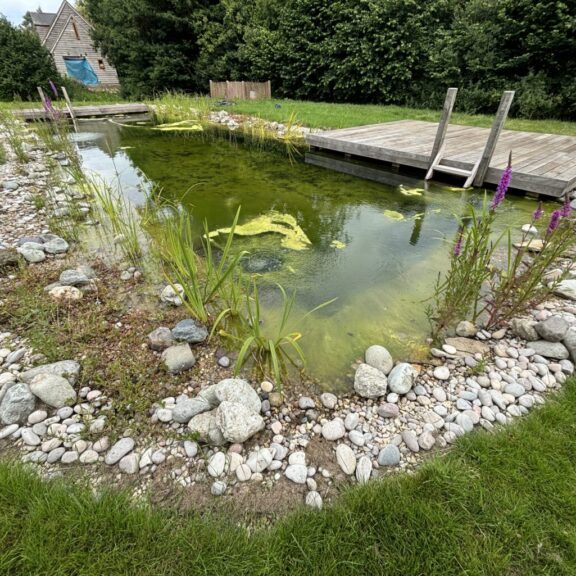 New Pond Syndrome scaled