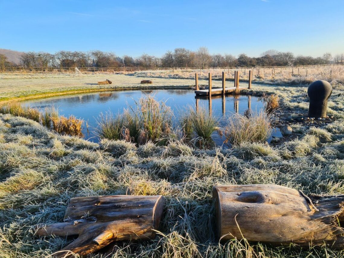 Nottingham Wildlife Pond Project Finished Winter