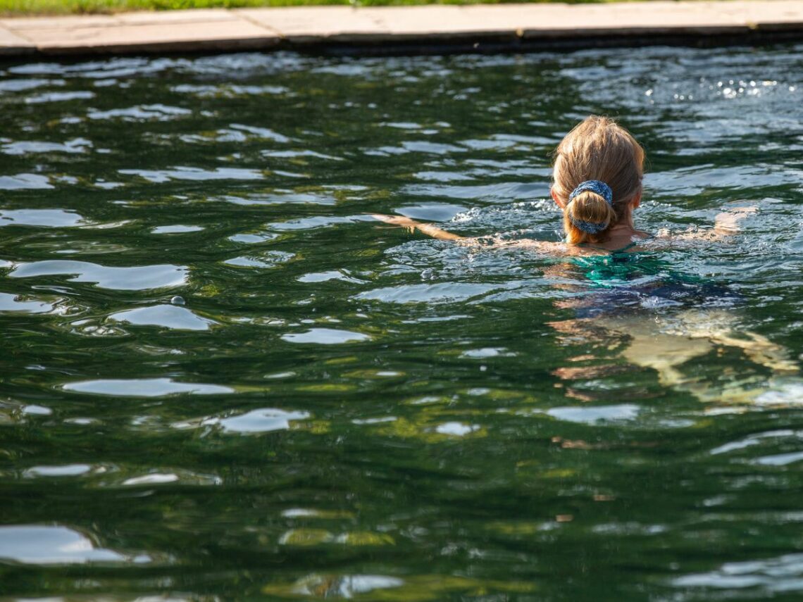 Swimming In Crystal Clear Natural Swimming Pond