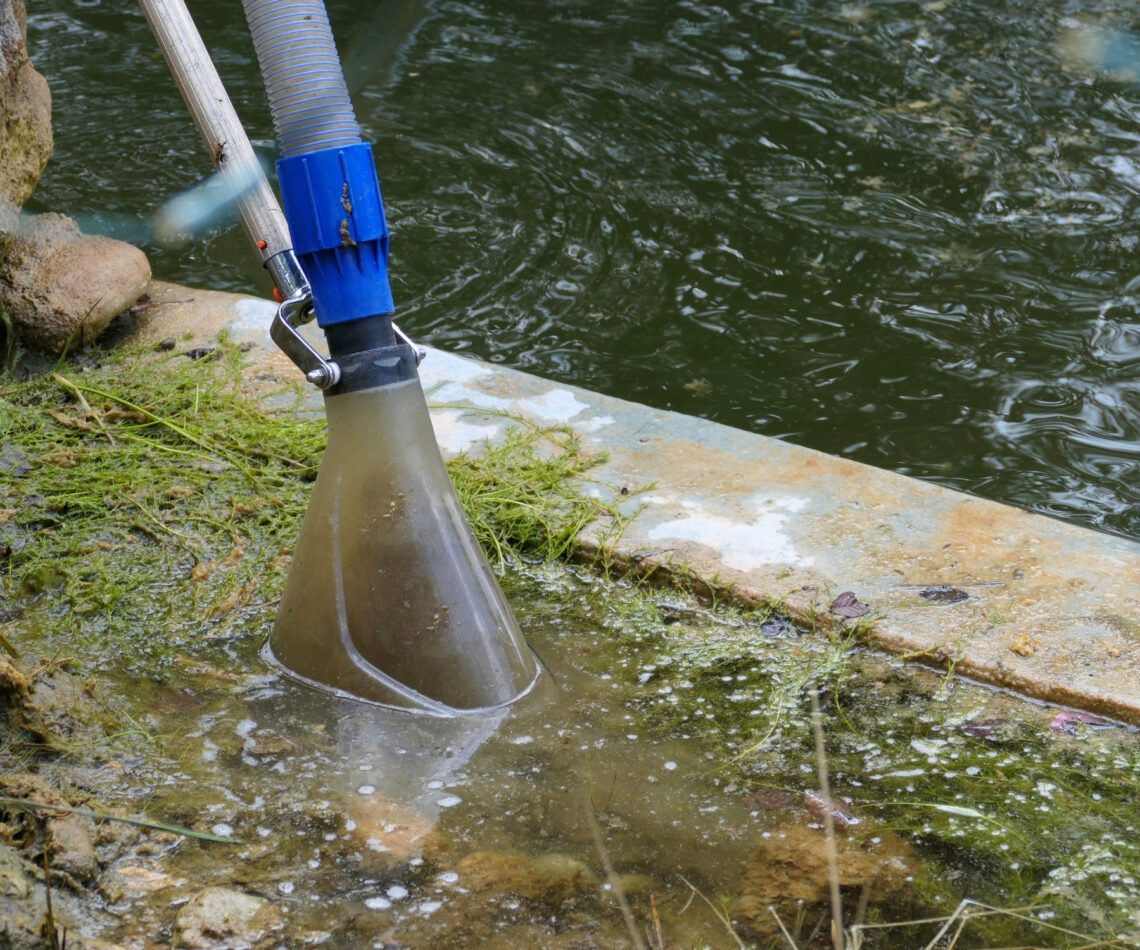 How to Clear Green Pond Water Fast: 7 Effective Solutions for Clarity 4 Preventing Recurring Green Water Problems