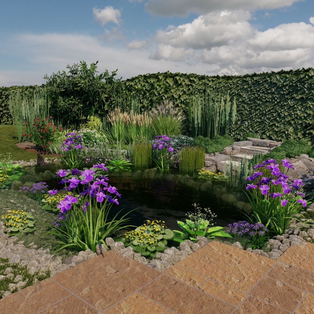 Pond Design Render 1024 X 1024