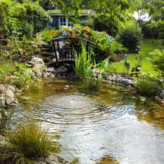 Wildlife Pond Design and Construction by Michael Wheat
