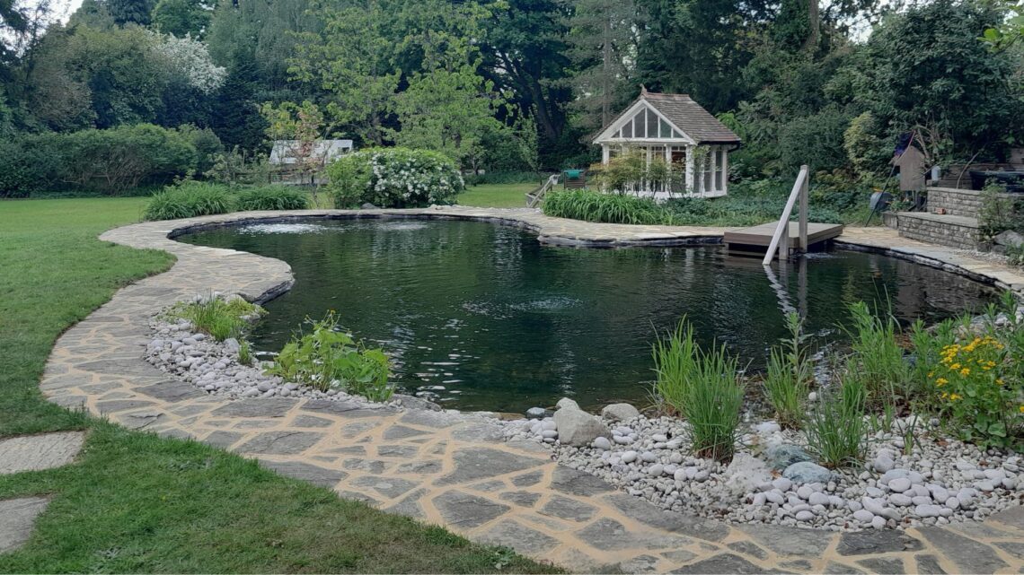 Swimming Ponds 2025 10 Pond to Swimming pond Conversion