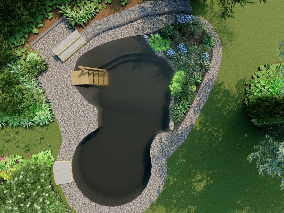 Pond to Swimpond Conversion Guildford Render 1