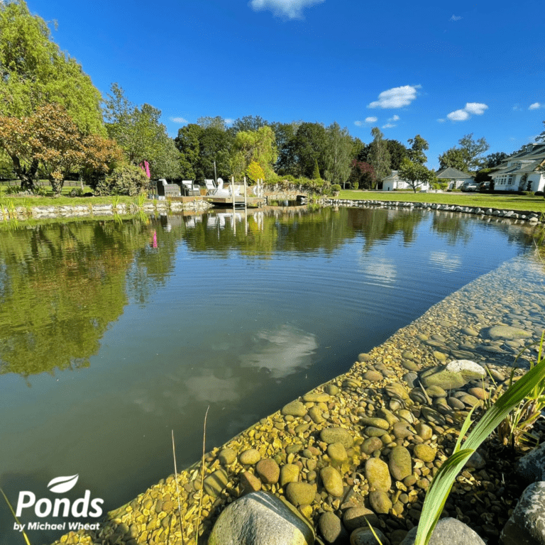 SwimPond Project Windsor Ponds by Michael Wheat