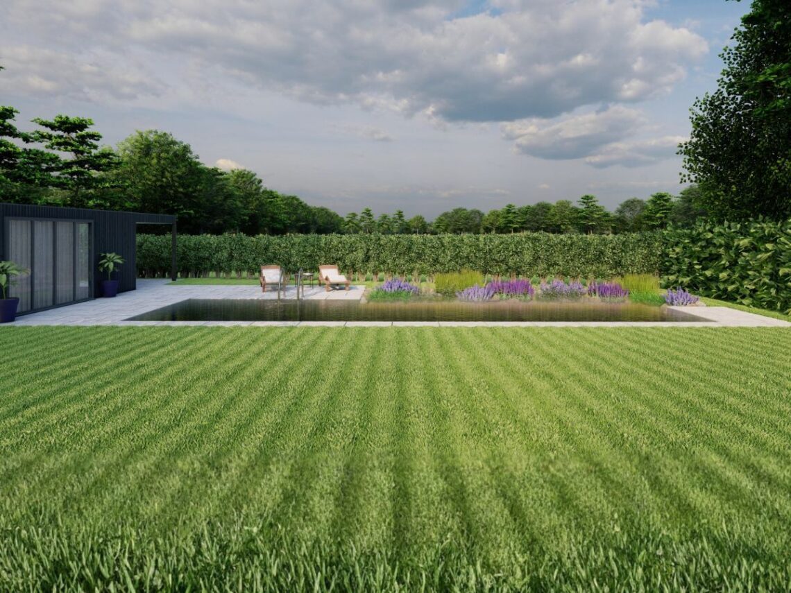 SwimPond Project - South Oxfordshire 6 South Oxfordshire render3