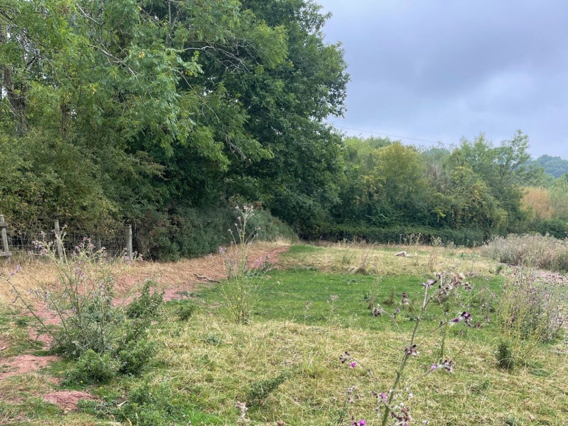 South Wales Swimpond Before