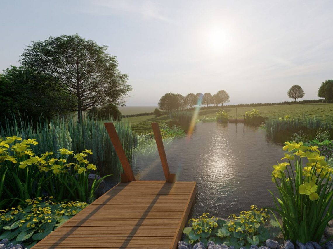 South Wales Swimpond Render1